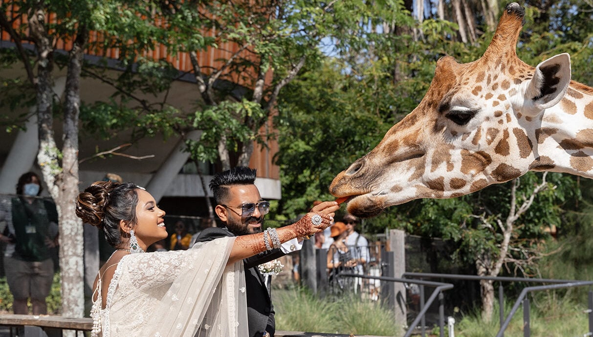 We’re in Love with This Beautiful Indian Wedding Held at the Sydney Taronga Zoo